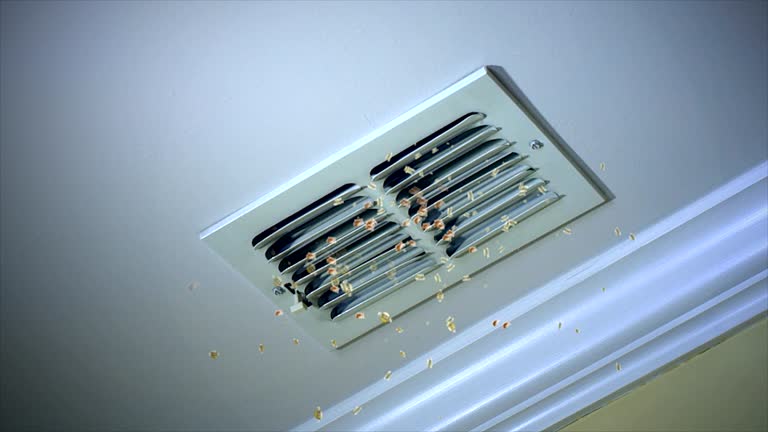 Best Best Air Duct Cleaning Company  in Duncannon, PA